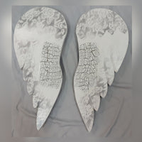 Grey on White Angel Wings